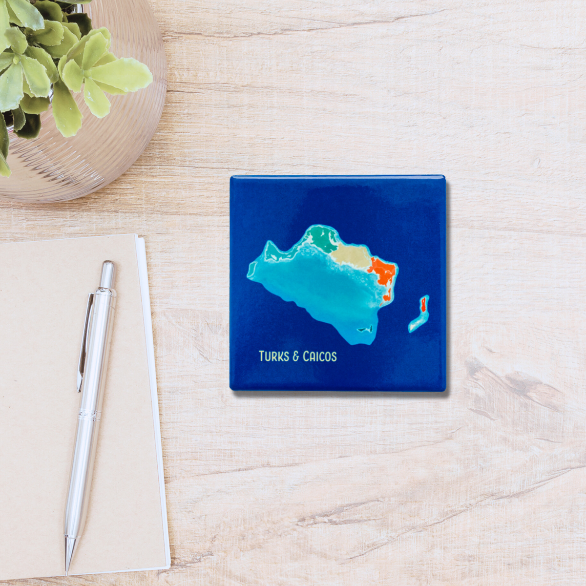 Island art Coaster