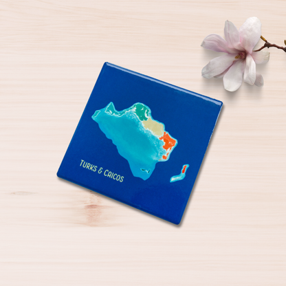 Island art Coaster