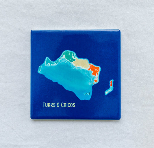 Island art Coaster